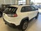 2023 Jeep Cherokee Trailhawk