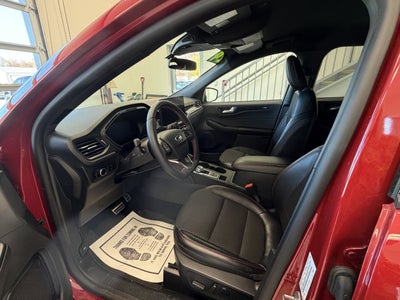 2024 Ford Escape ST-Line